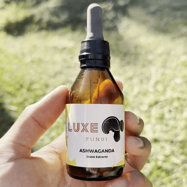 Ashwagandha - Luxe Fungi 60ml