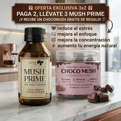 MUSH PRIME + Chocolate con Adaptógenos 🍫🎁