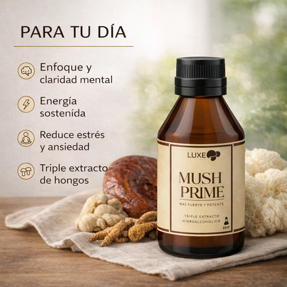 Pack Bienestar Completo | Rutina completa para reducir el estrés y mejorar el descanso