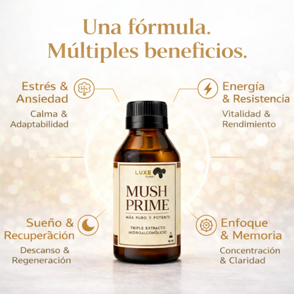 2 MUSH PRIME + 1 VITEX + 1 CHOCOMUSH DE REGALO