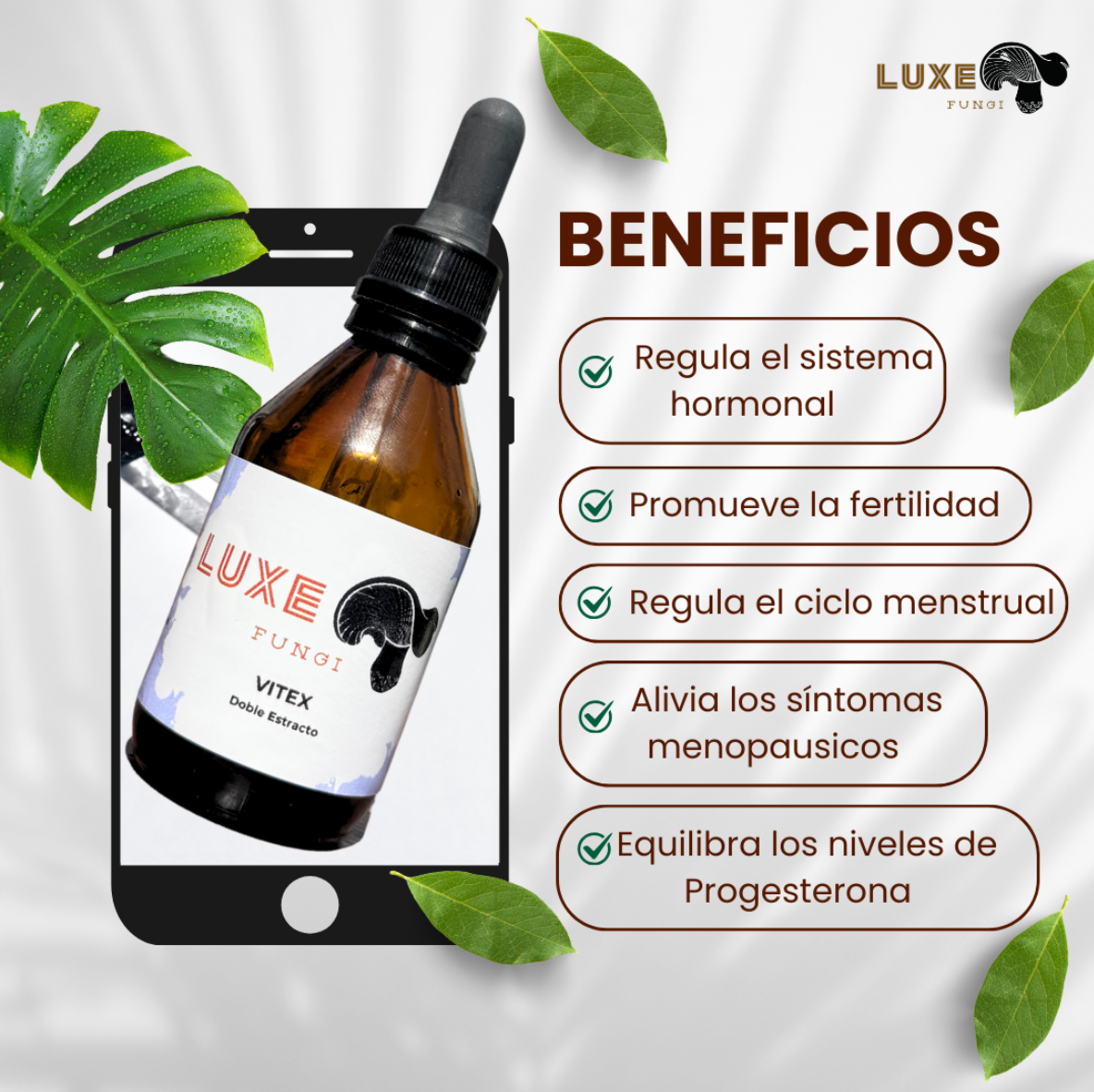 2 MUSH PRIME + 1 VITEX + 1 CHOCOMUSH DE REGALO