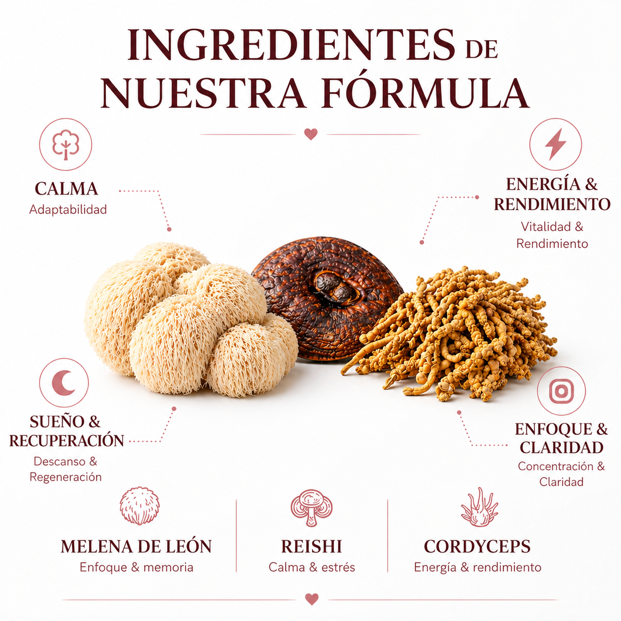 🍫 ChocoMush — El chocolate que te da foco, energía y calma
