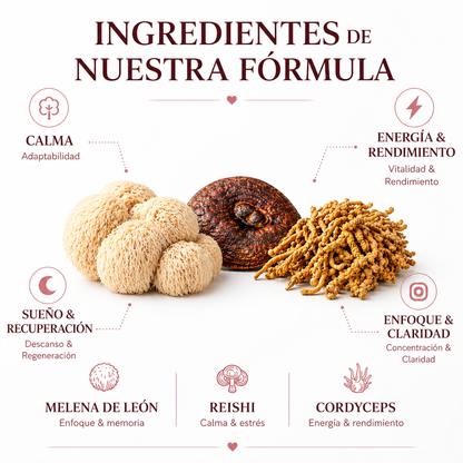 🍫 ChocoMush — El chocolate que te da foco, energía y calma