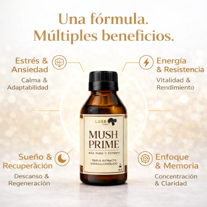 MUSH PRIME + Chocolate con Adaptógenos 🍫🎁