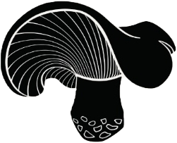 Luxe Fungi