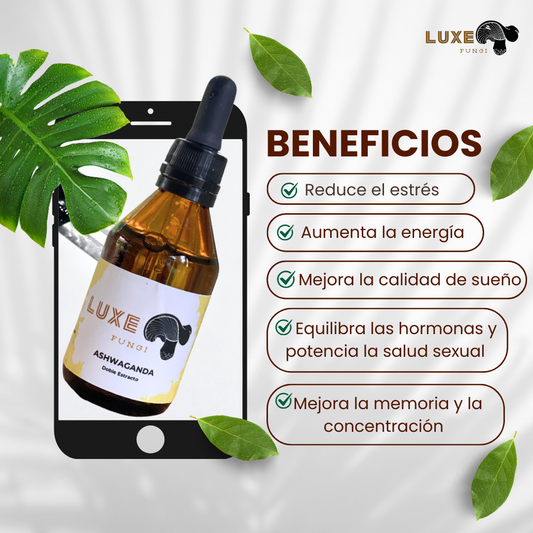 Ashwagandha - Luxe Fungi 60ml