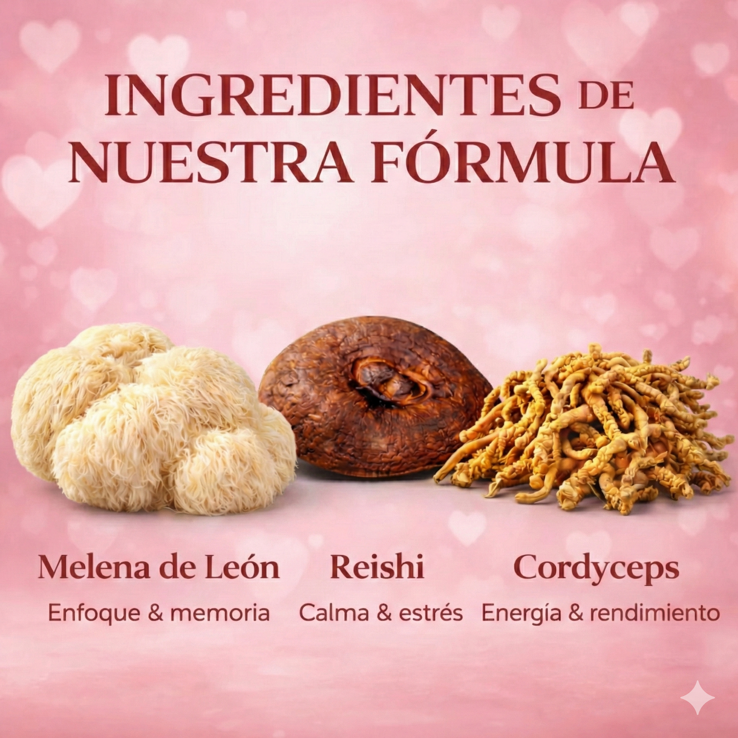 🍫 ChocoMush - Chocolates Adaptógenos